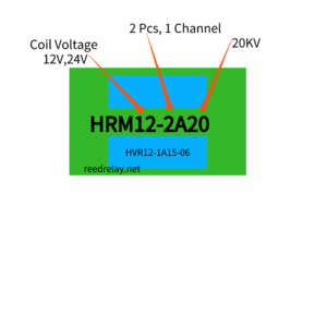 20KV Reed Relæ