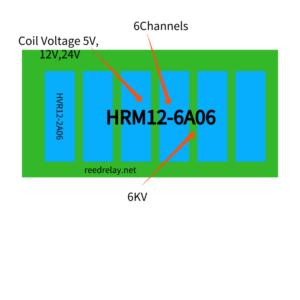 6KV Reed Relay Module