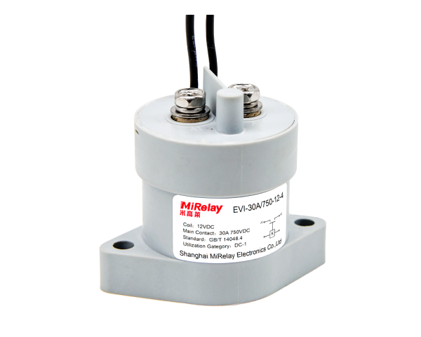 EVI Epoxy Sealed DC Contactor